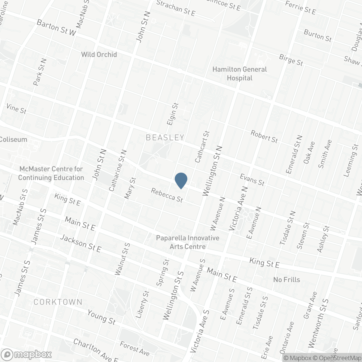 179 WILSON Street, Hamilton, Ontario L8R 1E3